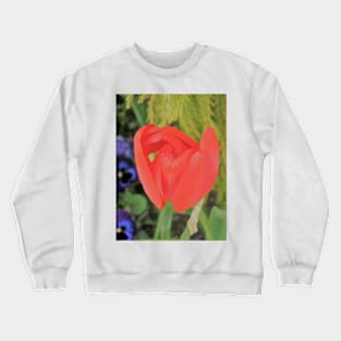 Bright and Blooming Crewneck Sweatshirt